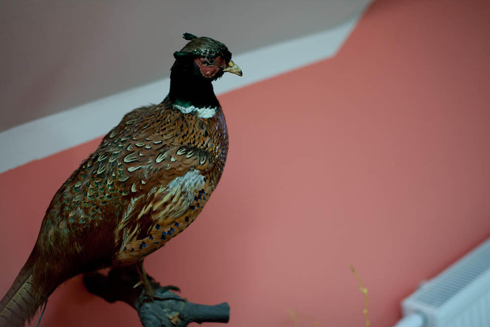 Przybysławice Dwor Na Wichrowym Wzgorzu Bed & Breakfast エクステリア 写真