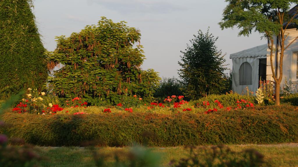 Przybysławice Dwor Na Wichrowym Wzgorzu Bed & Breakfast エクステリア 写真