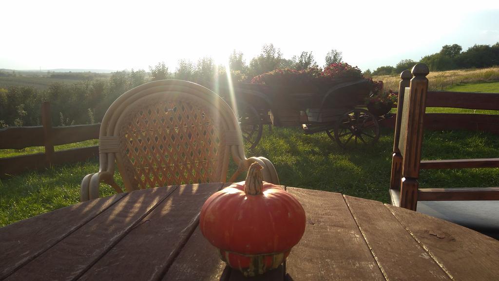 Przybysławice Dwor Na Wichrowym Wzgorzu Bed & Breakfast エクステリア 写真