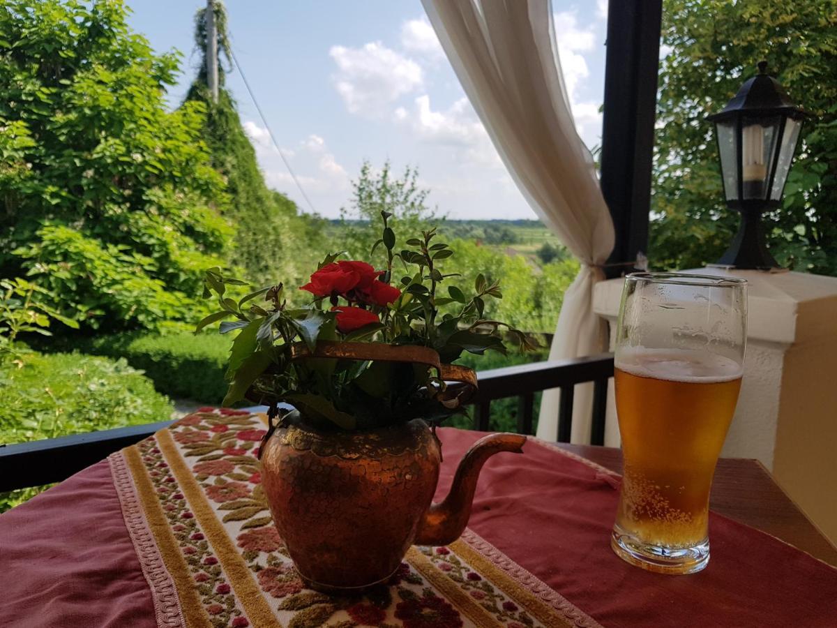 Przybysławice Dwor Na Wichrowym Wzgorzu Bed & Breakfast エクステリア 写真