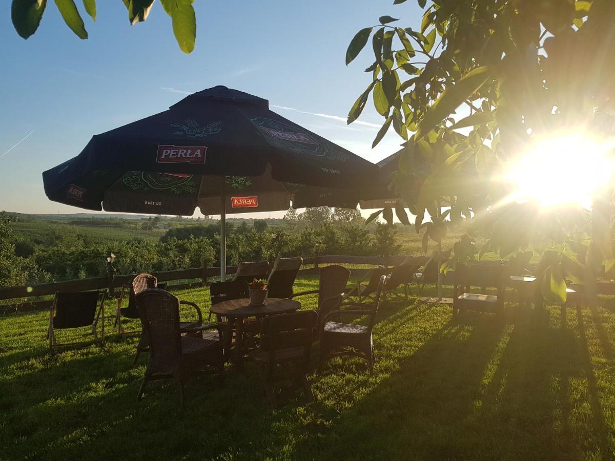 Przybysławice Dwor Na Wichrowym Wzgorzu Bed & Breakfast エクステリア 写真