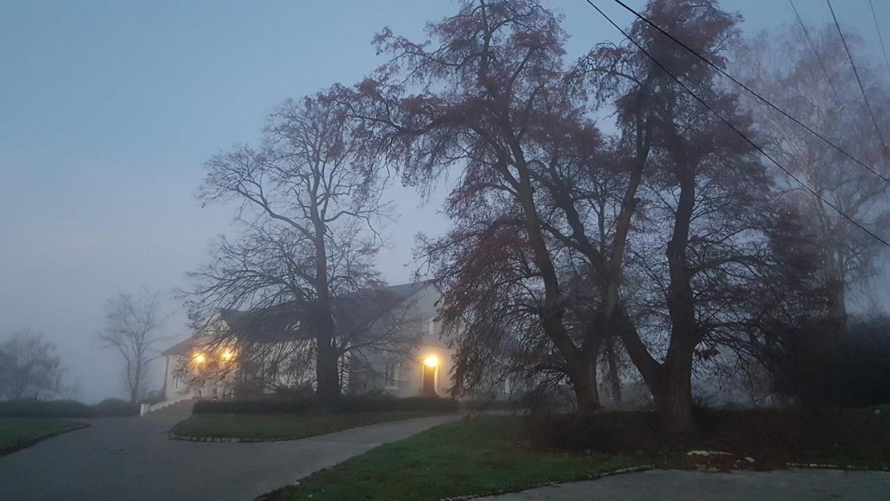 Przybysławice Dwor Na Wichrowym Wzgorzu Bed & Breakfast エクステリア 写真