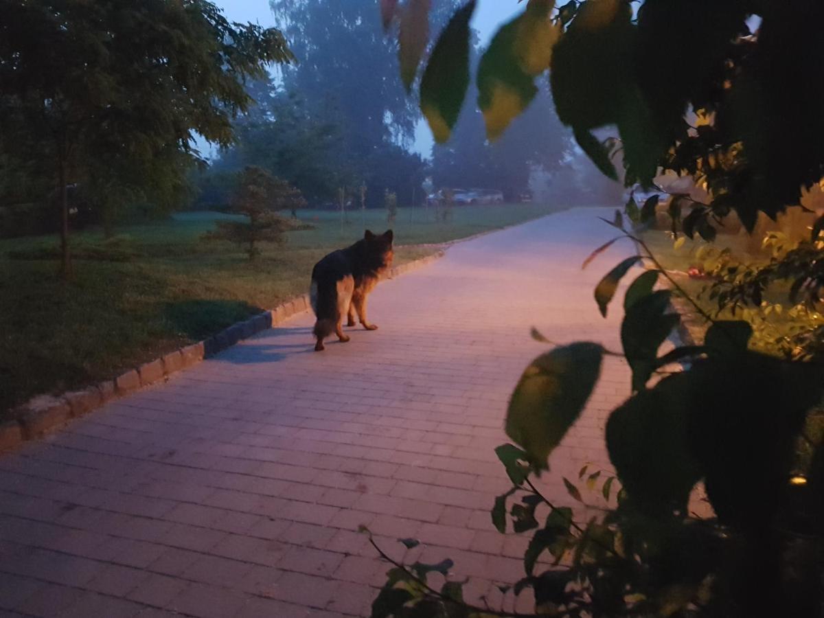 Przybysławice Dwor Na Wichrowym Wzgorzu Bed & Breakfast エクステリア 写真